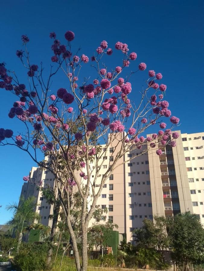 Apartamento Ecologic Park Caldas Novas Zewnętrze zdjęcie